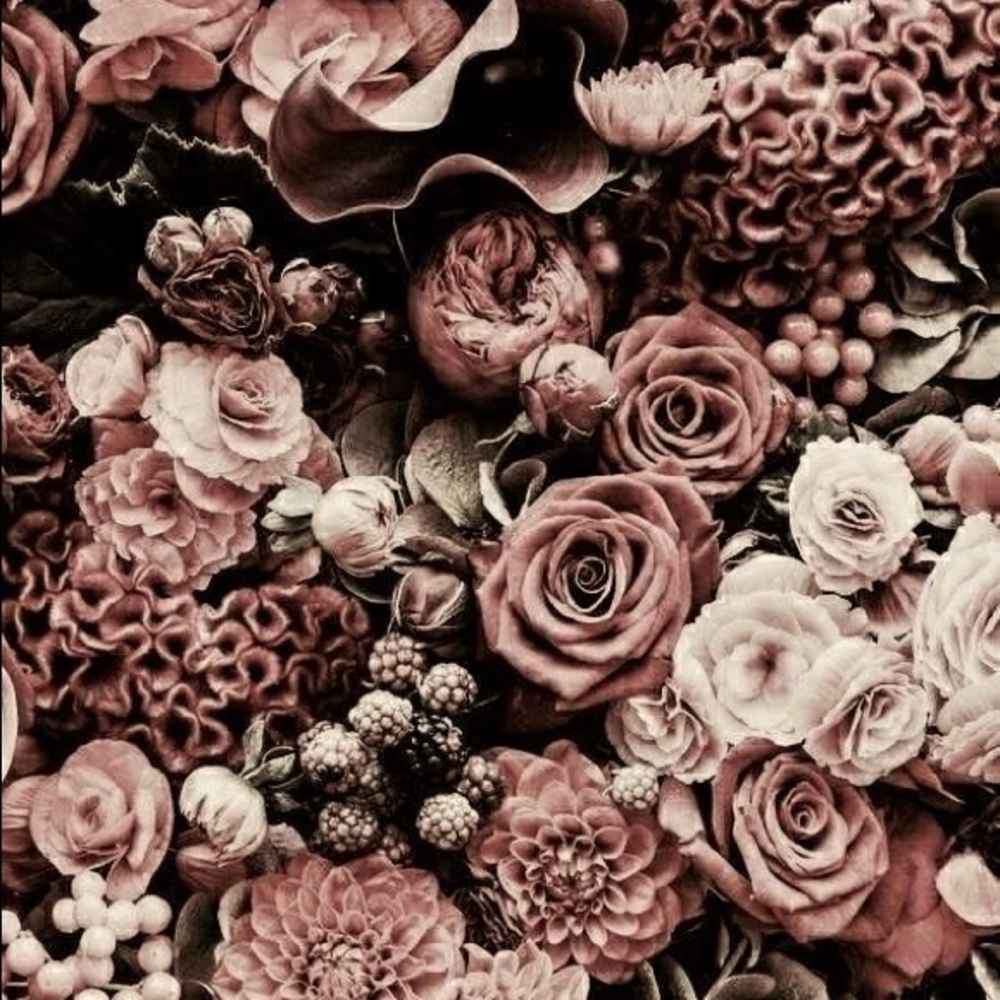 Meet your Posher, Ana maria